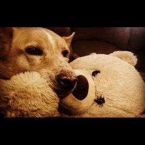 Meet your Posher, Chloe